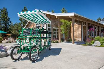 Community-cruiser bicycle loans